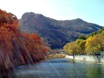 新澳门二四六天天彩，电子除湿器